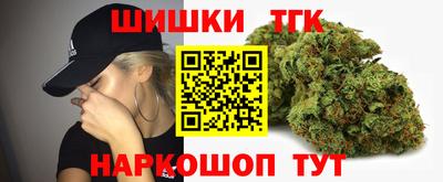 индика Наро-Фоминск