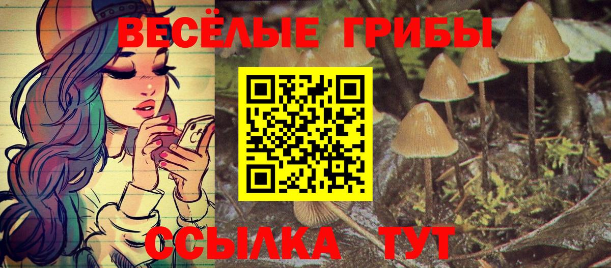 Галлюциногенные грибы мицелий Ульяновск