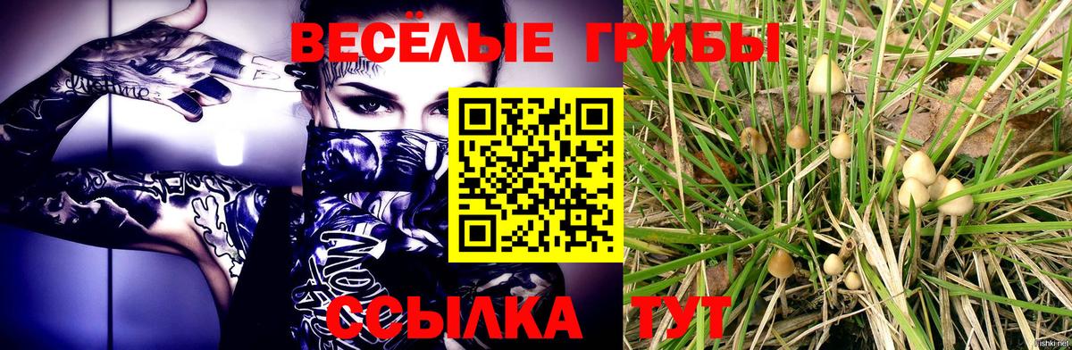 где можно купить   Галлюциногенные грибы Psilocybe  Вход с VPN  Ульяновск  Псилоцибиновые грибы мухоморы 